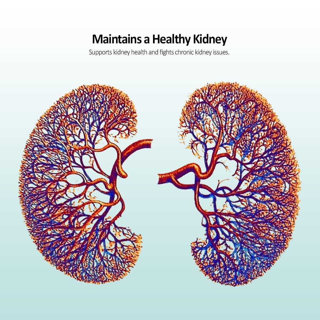 ANC ANC Activated Charcoal 500Mg For Digestive Health | Reduces Gas & Bloating & Support Skin Health 90 Tablets