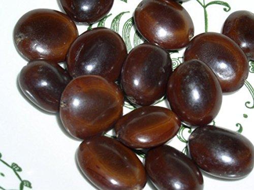 SriSatymev SriSatymev ® Pahadi Imli Beej, 100g (Mountain Tamarind Seeds)