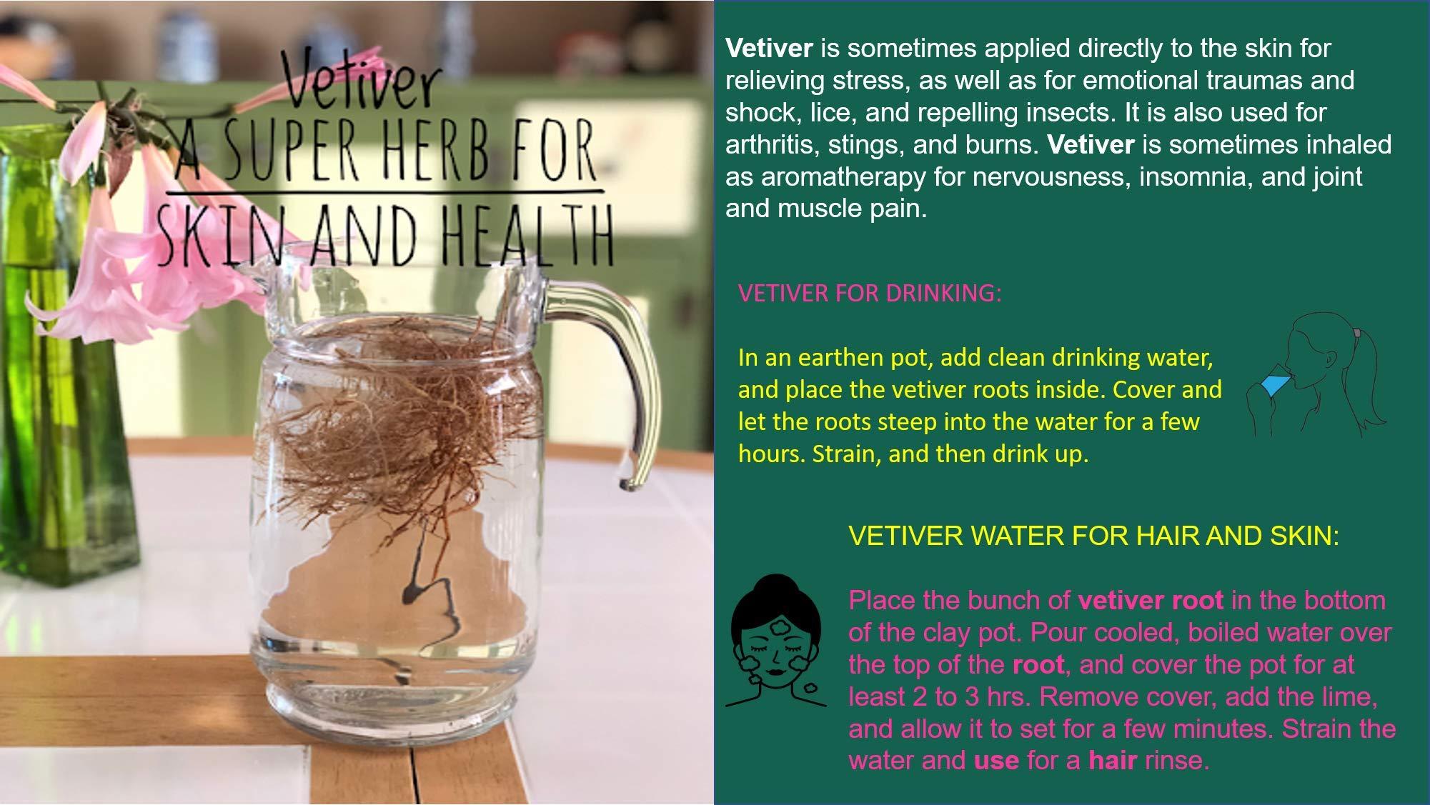 NPPV ORGANICS NPPV organics vetiver/Chrysopogon zizanioides/cuscus grass root 100% Pure & Organic (250 g)