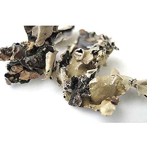 Roods Fresh Roods Fresh Stone Flower | Dagad Phool | Kalpasi, Patthar Ke Phool | Indian Stone Flower Spice (300 g)