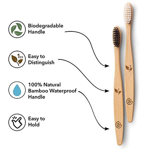 GREENZLA GREENZLA Biodegradable & Compostable Charcoal Wooden Bamboo BPA-Free Soft Bristles Eco-Friendly, Natural Manual Toothbrushes Set for Adult (12 Pack)