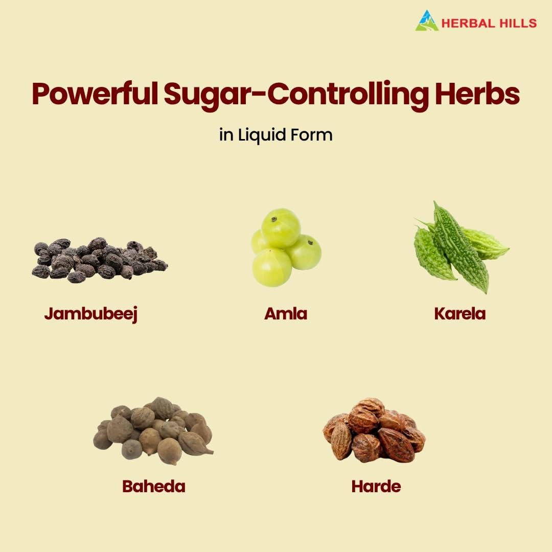 HERBAL HILLS Herbal Hills Diabohills Syrup with Karela Jamun 500ml Shots (500 ml (Pack of 4))