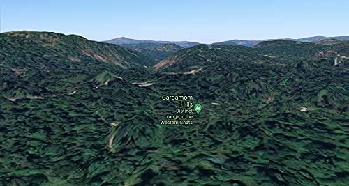 Western Ghats Spices Western Ghats Spices Kerala Premium Whole Green Cardamom, Elaichi 100 Gram (Bold) | Sabut Choti Hari Elaichi | Aroma Lock