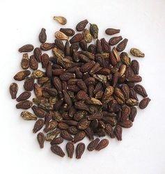 Odisha Ayurved Hub Shivlingi | Shivlingi Seeds | Shivling k beej | Bryonopsis laciniosa | Sivalingi Beej Seed (250 Gram)