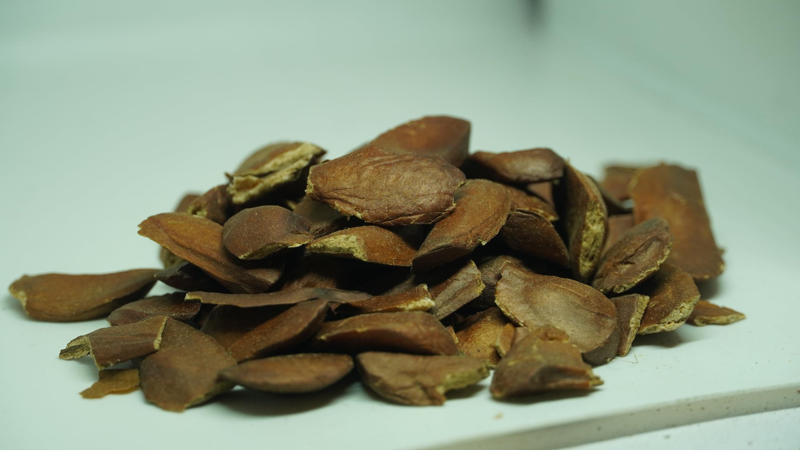 THOGAI THOGAIS -THEN KAI- Sky fruit/Thaen Kai/Swietenia Macrophylla/Thenkani Vidhai/Kadwa Badan/Mahogany/ (250 GRAMS (PACK OF 1))