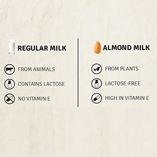 Raw Pressery Raw Pressery, Tetra Almond Milk Plain (Unsweetened), 1L & Raw Pressery, Tetra Almond Milk Cacao, 1L