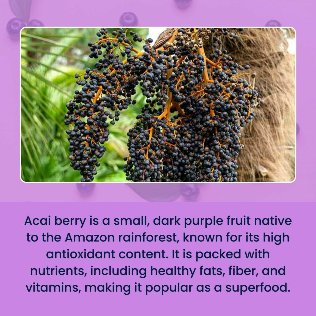 urban platter Urban Platter Freeze-Dried Acai Berry Powder, 30g (Brazilian Superfood | Rich in Antioxidants | Perfect for Smoothies & Bowls)