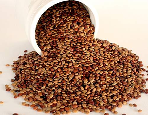 Zone Marketing Organic kollu / Ulavalu / Kuleeth / Macrotyloma Uniflorum / Kulthi Dal / Horse Gram -1000 g by Zone Marketing