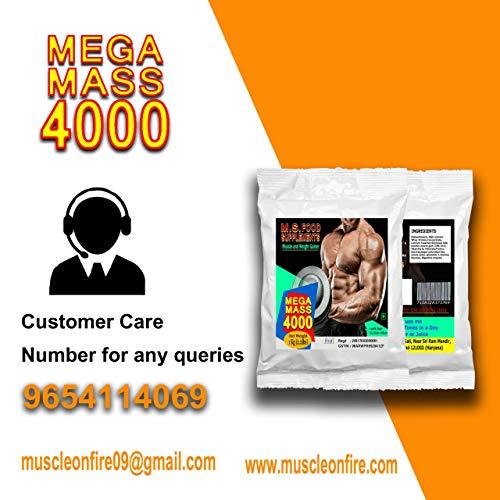 M.S. Food Supplements M.S.Food Supplements Mega Mass 4000 Powder weight gainer 1kg Mango10