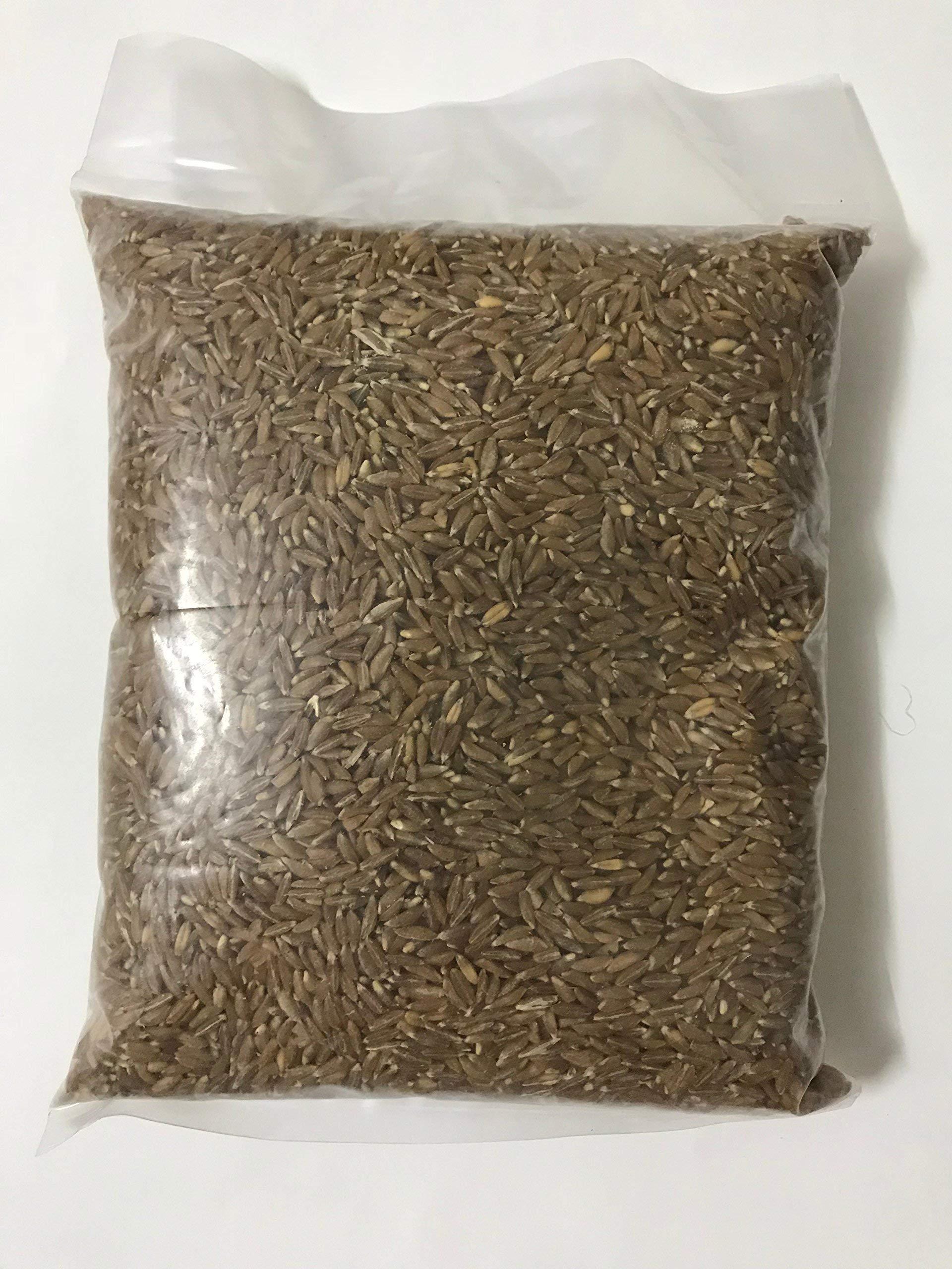 Shivansh Shivansh Emmer Long Wheat Farro, 1kg