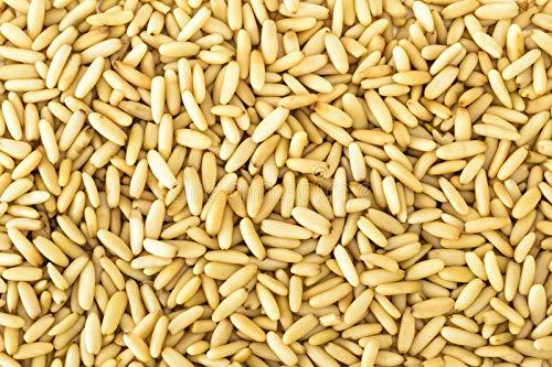 Being Marwari Being Marwari Dry Fruits | Pine Nuts | CHILGOZA, 25g