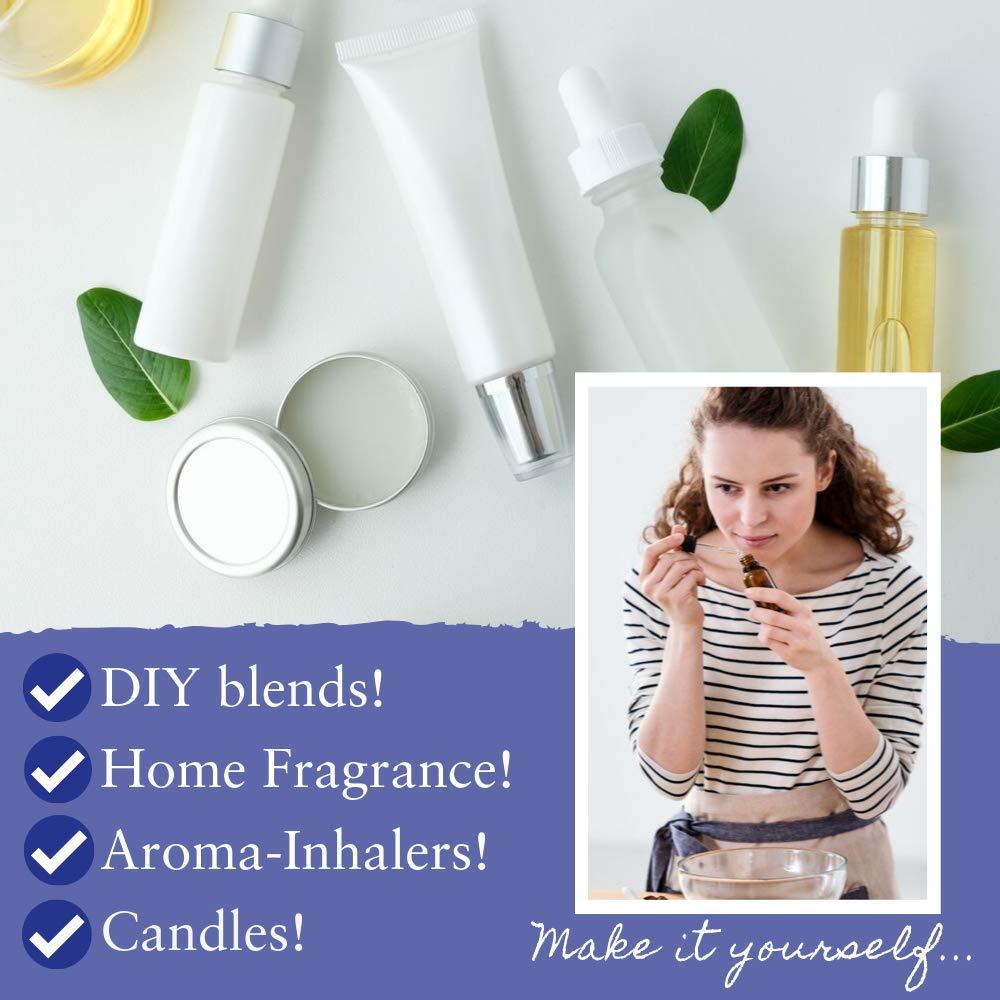 Absolute Aromas Organic Bergamot Essential Oil by Absolute Aromas | Prized for its mood-boosting and cleansing properties | Luxury Aromatherapy