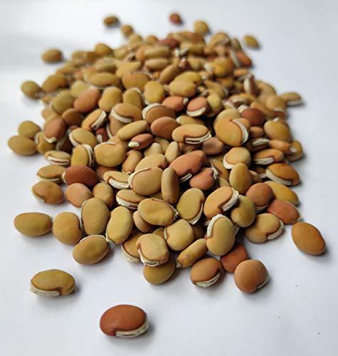 NATURE STAY Nature Stay Red Vaal Beans, Deshi val -900gm