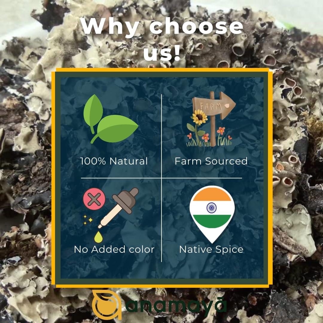 anamaya Stone Flower Spice | Pathar Phool | Dagad Phool | Chhabila | Kalpasi | Permalia Perlata | Rock Flower Stone | Patthar Ke Phool | Biryani Flower | 30 Gram Pack of 1