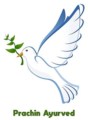 prachin ayurved prachin ayurved bhindi powder (dhatu rog )