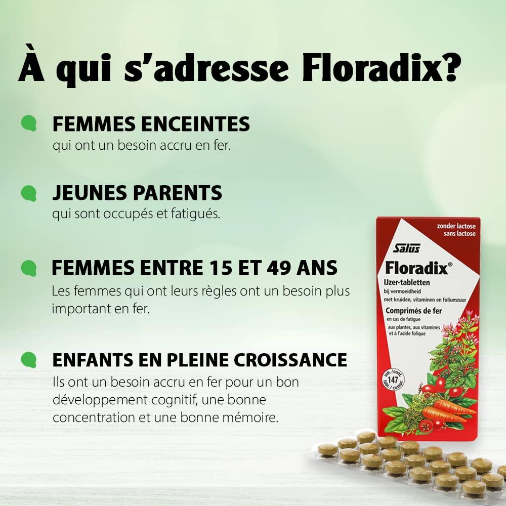 Floradix Floradix Iron 84 Tabs