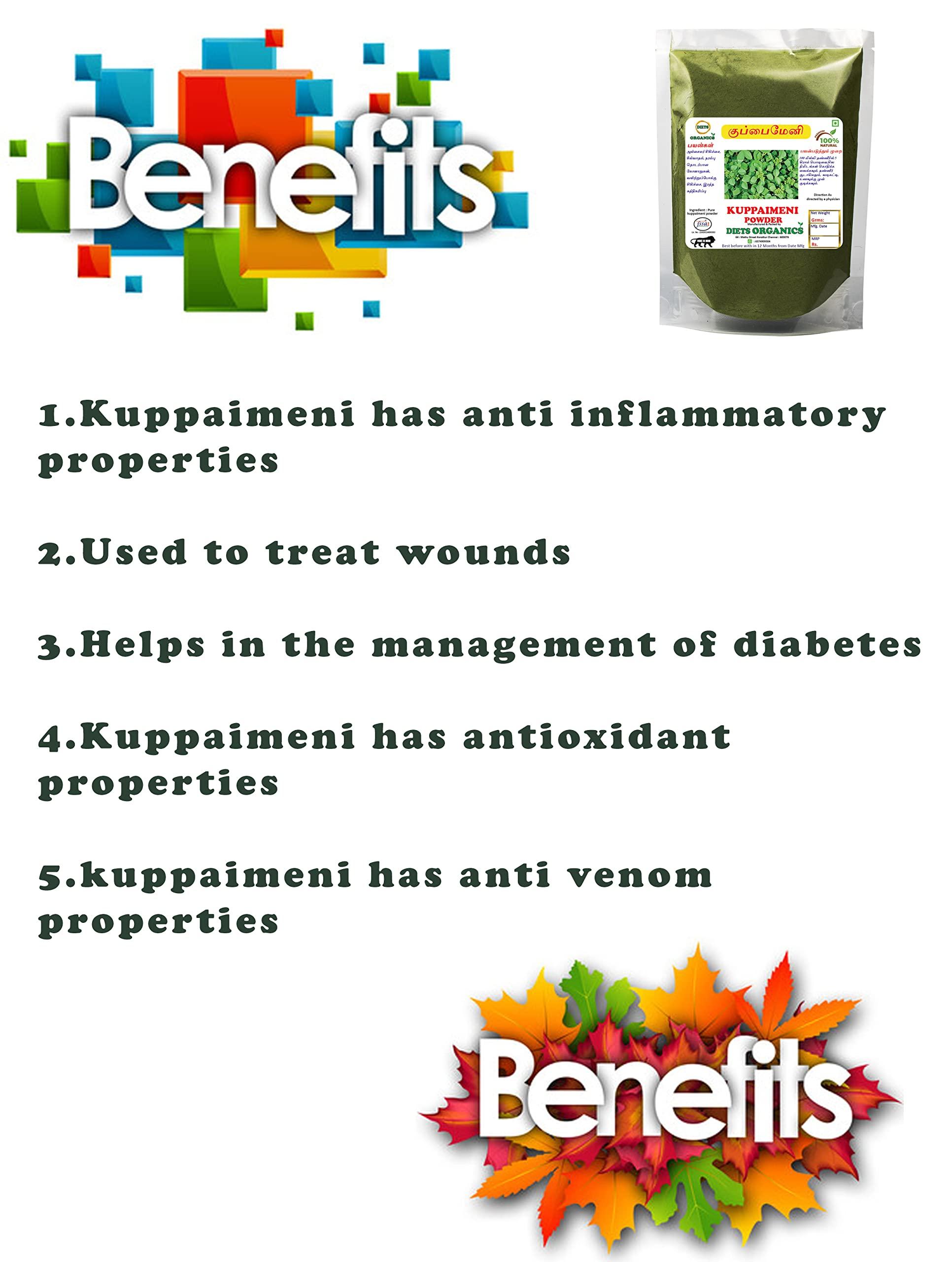 DIETS ORGANICS Diets Organics Kuppaimeni Powder -200 Gms | Acalypha indica/ Indian nettle Powder-200G pack of 1