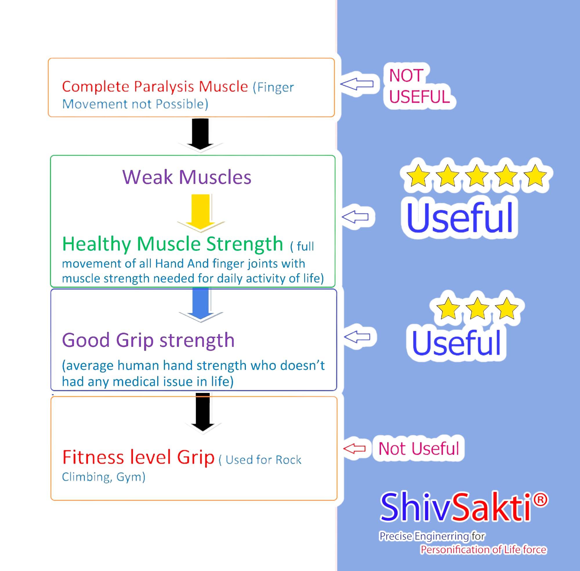 SHIVSAKTI Round Hand and Finger Grip Exerciser- Made for Hand Physiotherapy & Hand Paralysis Rehabilitation Training, Hand Strengthening Physiotherapy Equipment at Home and Clinic Based Exercise Program