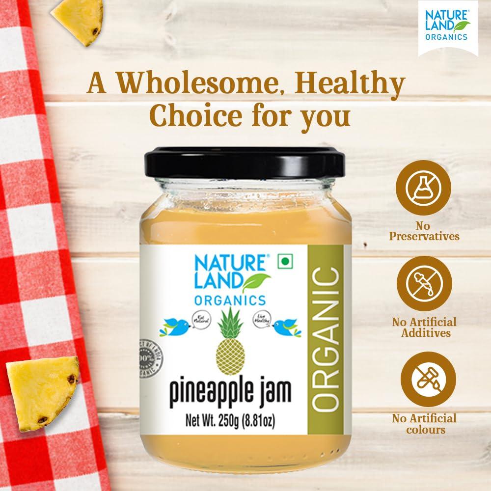 NATURELAND ORGANICS Natureland Organics Pineapple Jam 250gm - Healthy Organic Jams