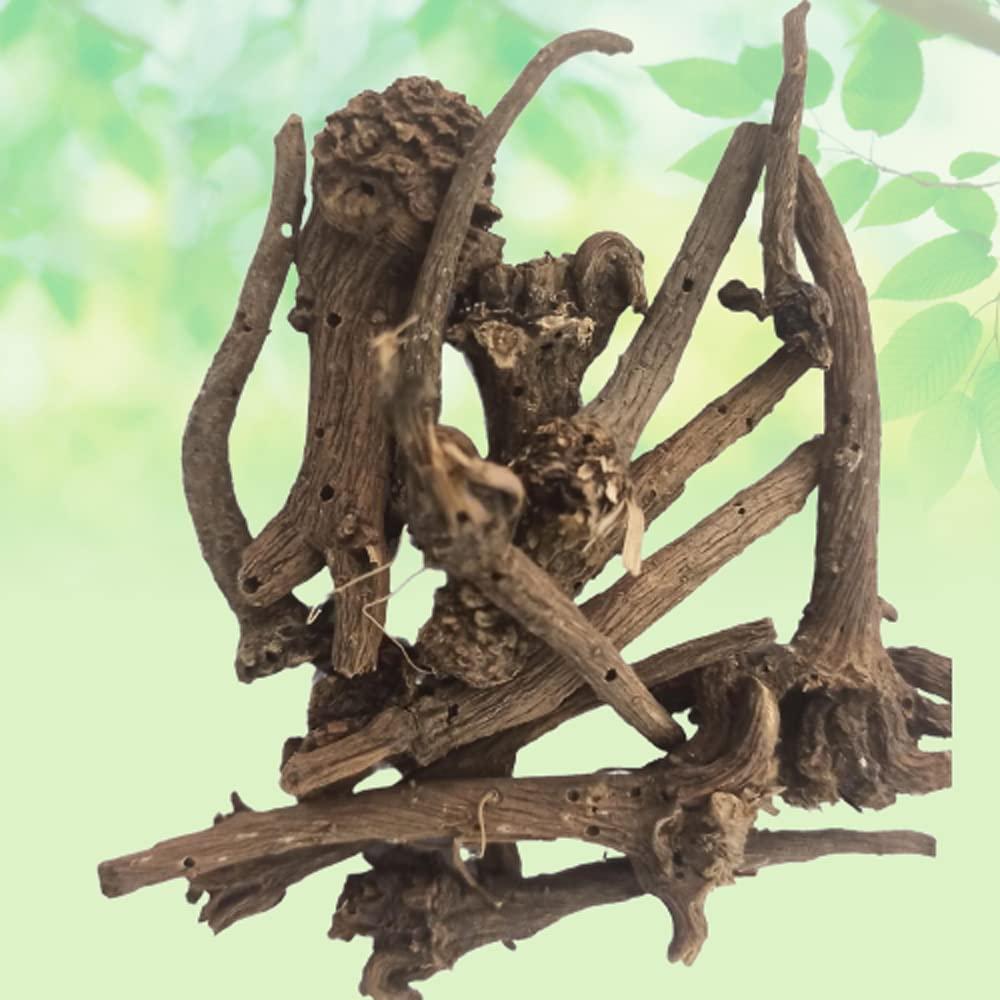 India\'s Creation Akarkara Roots-Anacyclus pyrethrum-Raw Herbs-Pellitory Roots-Aaqir Qarha-Jadi Booti-Single Herbs (250 Gram)