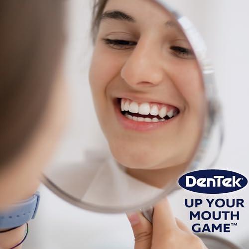 DenTek DenTek Triple Clean Floss Picks (Pack of 3)