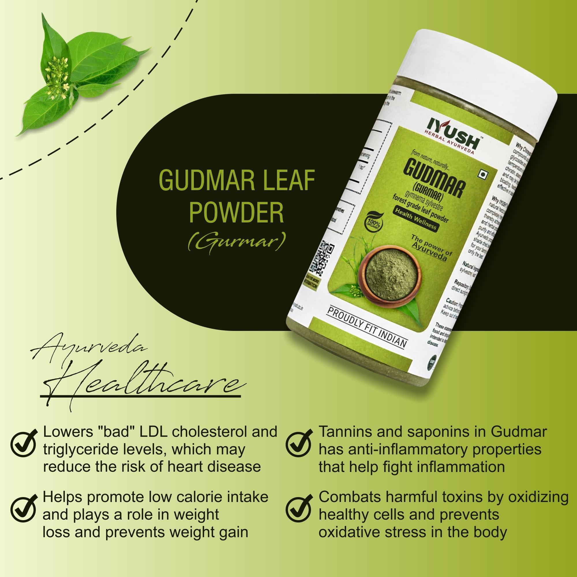 IYUSH Herbal Ayurveda IYUSH Herbal Ayurveda Gudmar/Gurmar Powder (pack of 2) - 100gm each