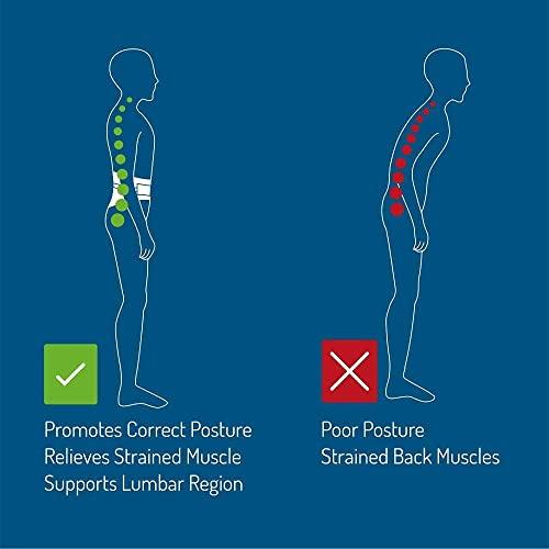 Generic Premium Lumbo Sacral (L.S Belt) Corset- Back Pain Belt Waist Support (Beige) (SMALL)