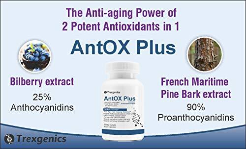 Trexgenics Trexgenics ANTOX PLUS Bilberry 25% 200 mg, Pine bark 90% 200 mg & Vitamin C Advanced Antioxidant complex, Heart, Eyes, Skin, Immunity, Metabolism (60 Vcaps) (1)