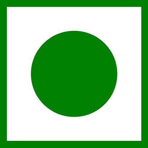 KEVA Keva Iron (HB) Tonic Syrup Ayurvedic Iron Tonic Syrup Extract of Amla, Ashwagandha, Shatavari, Arjuna, Purnava, Bhringraj, Brahmi, Tulsi, & Shankhpuspi - Increase Iron for Men & Women 100ml