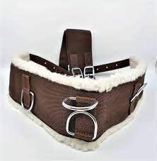 AMARYLLIS AMARYLLIS Corainder/Dhaniya Powder(Hand-Pounded), Natually Processed & 100% Organic with Zero Added Flavours & Colors(Chemical Free) | Rajasthan Special |250 grams