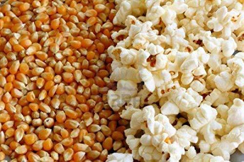 FreshoCartz FreshoCartzPopcorn Kernel Seeds | Makki Seeds | Makka Seeds | Corn Seeds | 100% Popping Kernels (Extra Soft Popcorn Makka | Makai ) (250gm)