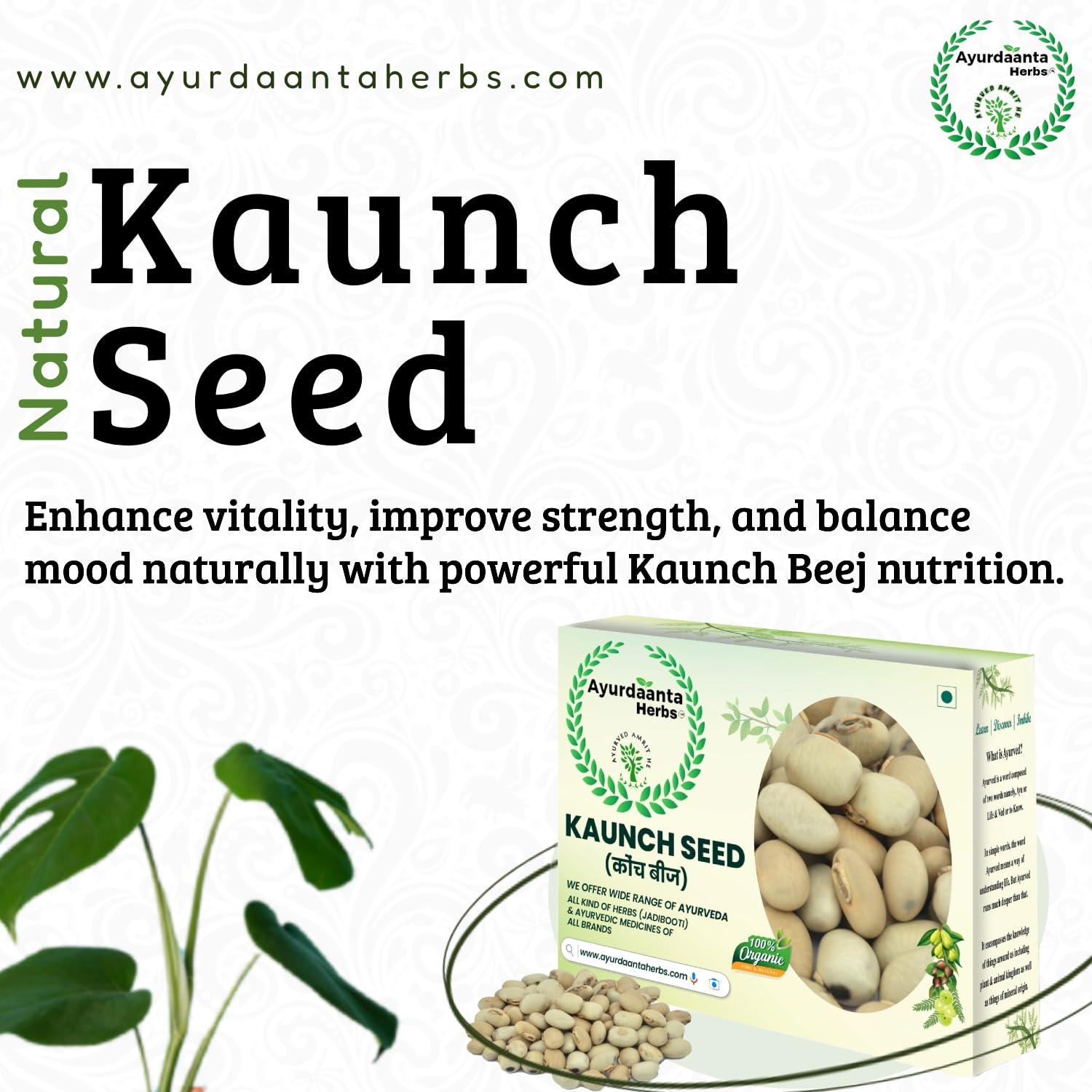 Ayurdaanta Herbs Ayurdaanta Herbs - Kaunch Beej Powder 100Gr | White Kaunch Beej Powder 100Gr |Mucuna Pruriens|Kaunch Seeds Powder | 100Gr| 100Gr -