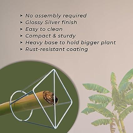 Stomata Gardens Stomata Decorative Banana Plant Stand for Ideal for Placing The Banana Plant/Tree/stem Stand for puja/Religious and Other Ceremonies Banana Leaf Stand for Pooja,Pack of (2)| banana stem holder