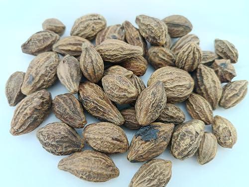 advancedestore advancedestore Badi Harad Whole - 150 Gm - Aralu | Inknut | Haritaki | Kadukkai - Harar - Terminalia Chebula - Karakkaya (Whole)