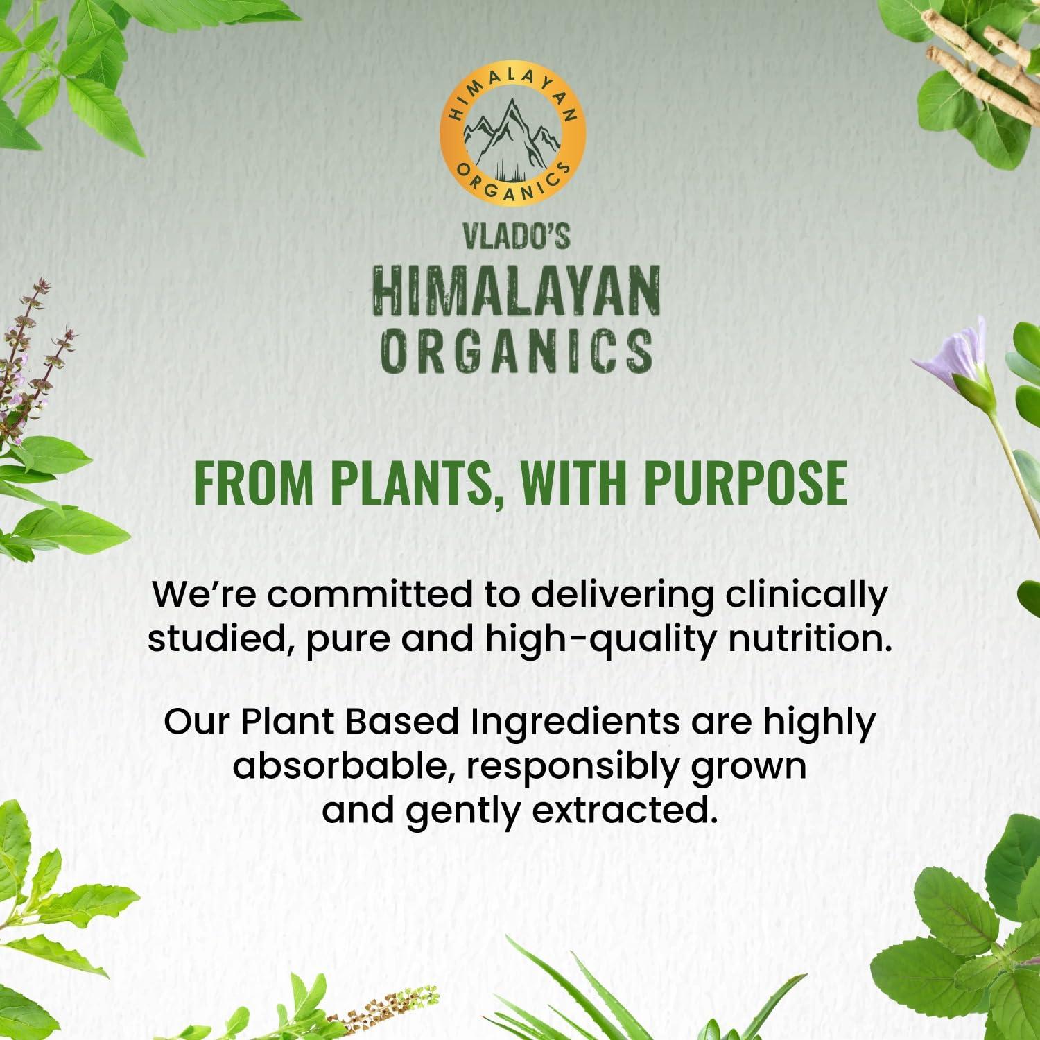 HIMALAYAN ORGANICS Himalayan Organics Vitamin B Complex with 100% RDA B1, B2, B3, B5, B6, B7, B9 & B12 | Hair Growth, Energy & Immunity | Youthful Skin - 120 Veg Tablets