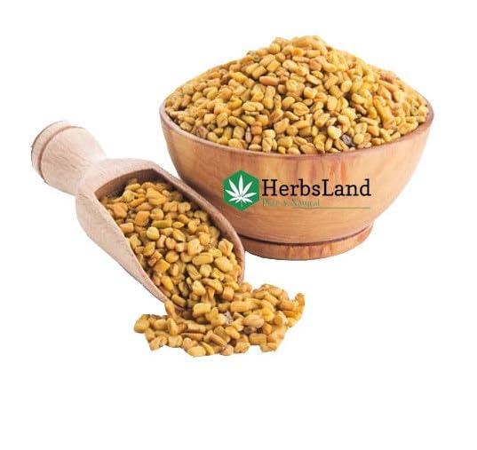 HerbsLand HerbsLand Fresh/Natural Dried Fenugreek Seeds | Trigonella Foenum-Graecum | Whole Methi Dana Seeds | Menthya,Venthayam,Menthulu | Indian Spices & Masala (Pack of 3) (200gm Each) (600 gm)