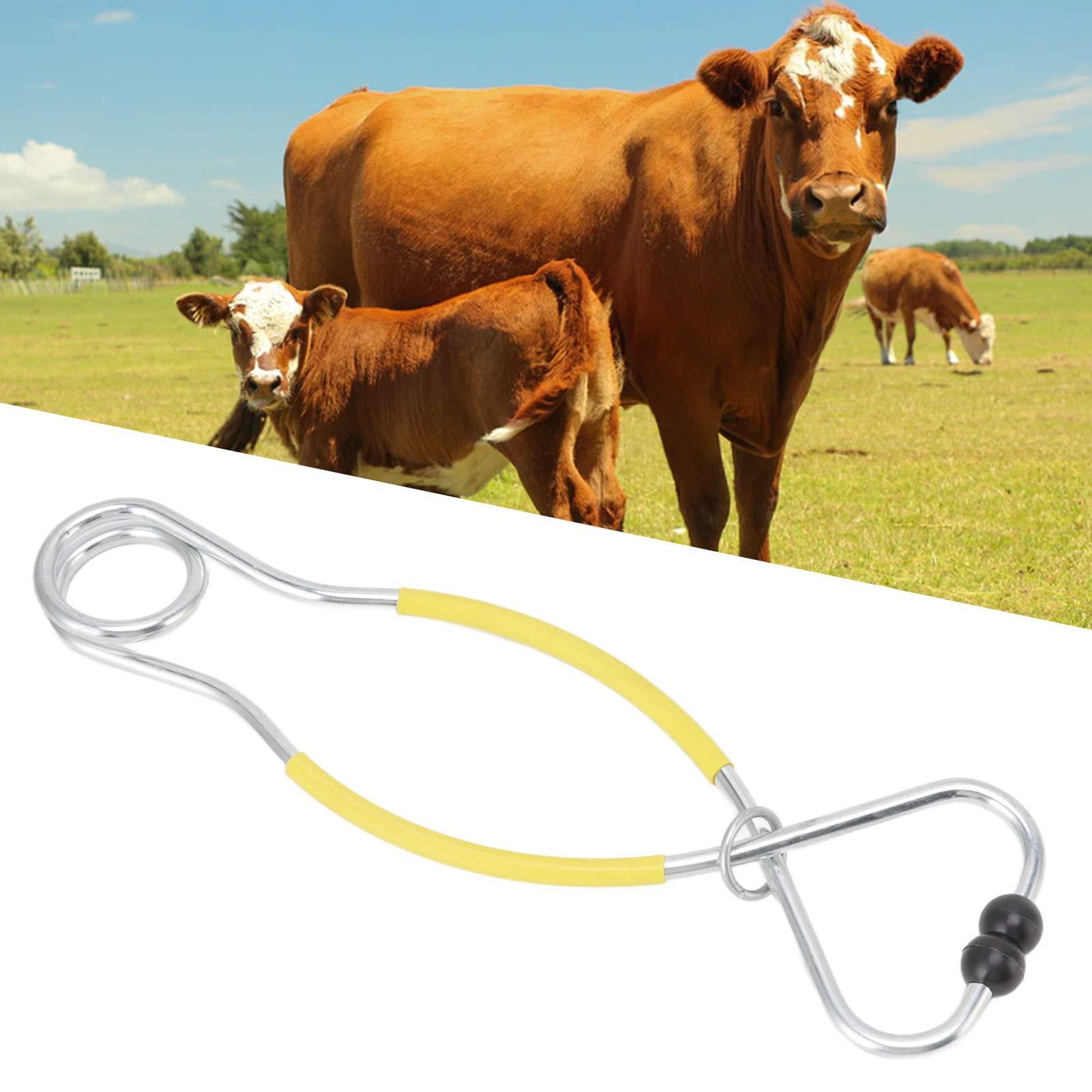 soobu Large Capacity Bull Nose Tweezers L Farm Luminous Hole Non-Drilled Metal Veterinary Cow Nose Tweezers (Yellow)
