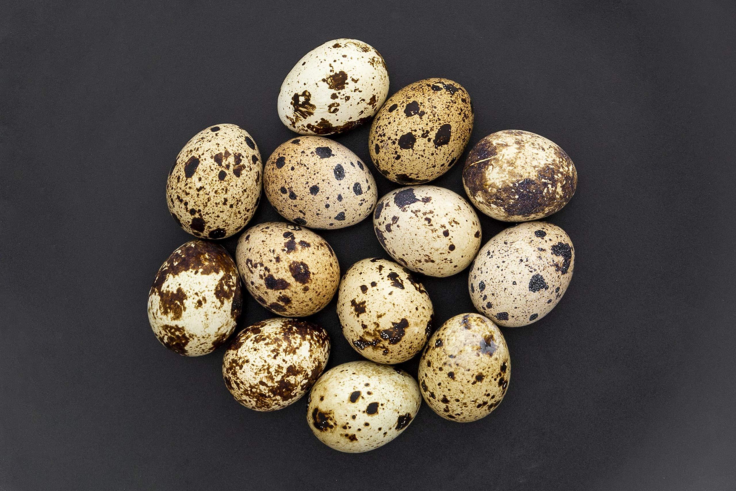 My Village My Village Quail Egg Powder, Whole Natural Egg Powder - 100g