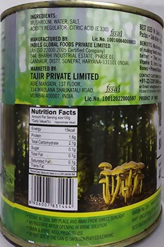 Habit Habit Sliced Mushroom, 800g (Pack of 2) | Canned Mushrooms | Sliced Mushrooms in Brine | Mushrooms