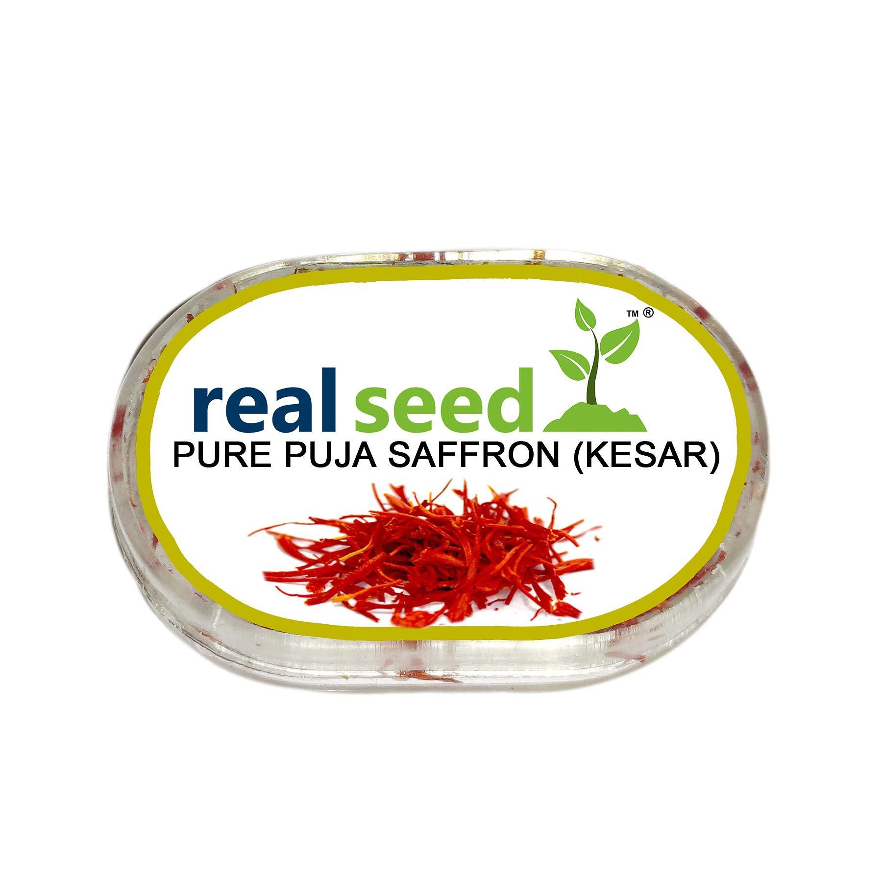 REAL SEED Real Seed Pure Kashmir Saffron/Kesar/Keshar for Puja and Tilak- 1/2 gm (Pack of 1)