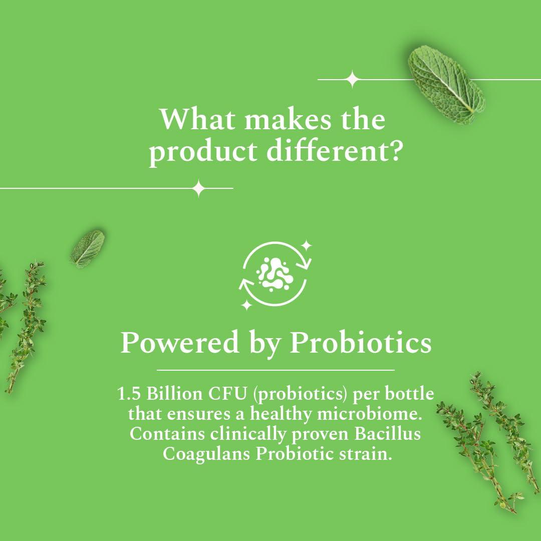 Perfora Perfora Power Water Dental Flosser | 1 Year Warranty | Dental Flosser For Teeth Oral Care, 3 Modes, Alcohol-free Anti-Plaque Mouthwash, Water Floss - Water Flosser & Mouthwash Combo |Thyme Mint, Grey