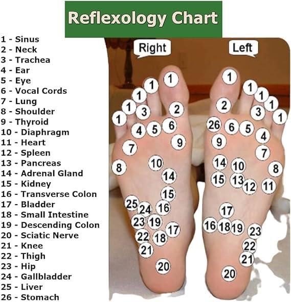 Srar Wood Craft 1 Pcs Thai Foot Wooden Stick Massage Reflexology Health Tool Small Wooden Stick Therapy Reflexology Traditional Tool Hand Face Head Body Foot Wood Pain Relief Working Travel Home 16.5 cm