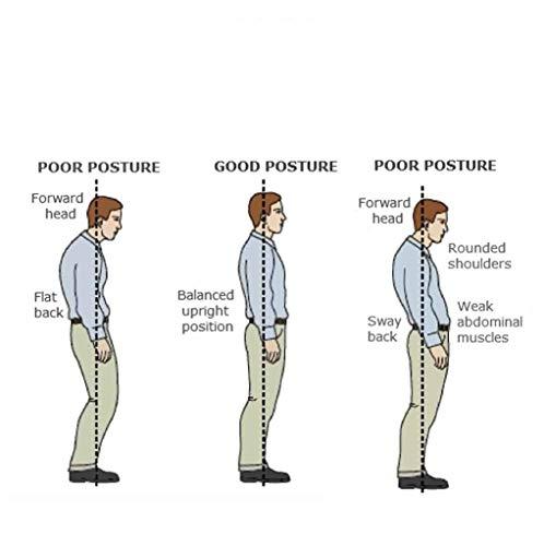 House of Quirk House of Quirk Posture Support Brace | Best Fully Adjustable Support Brace | Improves Posture and Provides Lumbar Support | For Lower and Upper Back Pain (XL)