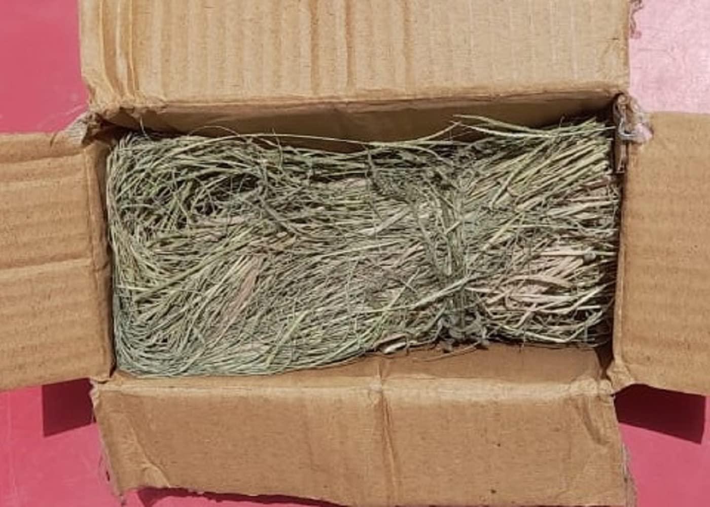 indianvedic Dried Dry Doob Ghaas Durva Grass Bahama Ghas Indian Couch Arugampul | Cynodon dactylon 250gm