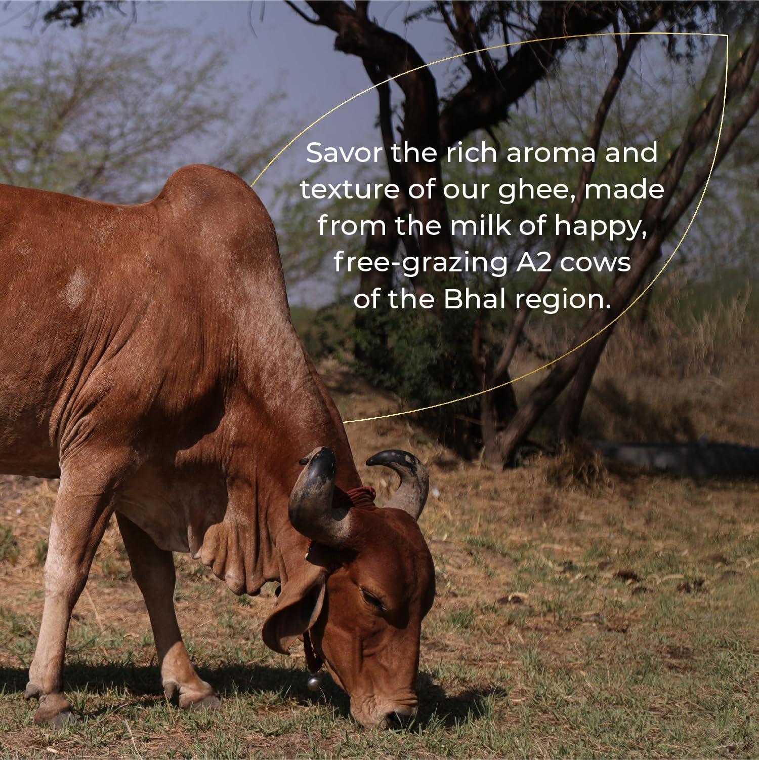 Sarthak Satvik Sarthak Satvik A2 Cow Ghee Desi Organic Butter Pure Nutrient Rich Ghee Made With Traditional Binola Method,Unsalted And Original Ghee,Natural Flavour,Lactose-Free And Keto-Friendly,250 Ml (Pack Of 1)