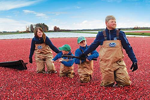 RiTrue RiTrue - Dried Sliced Cranberry - 500 Gm Pouch - (Gluten Free, Vegan & NON GMO) Organic Unsweetened Cranberries Dry Fruits