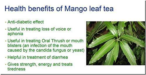 neotea Neotea Pure Mango Leaf Powder | Maa Ilai | Mango Leaves | Mango Leaf | Aam | Mamidi | Mavu | Mangga | Mangifera Indica | Ayurvedic Herbal Supplement | 100% Pure and Natural | Direct Surce From Farmers | Non-Gmo | Chemical Free | 300GM pack of 1