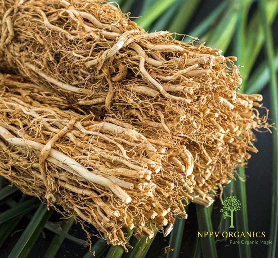 NPPV ORGANICS NPPV organics vetiver/Chrysopogon zizanioides/cuscus grass root 100% Pure & Organic (250 g)