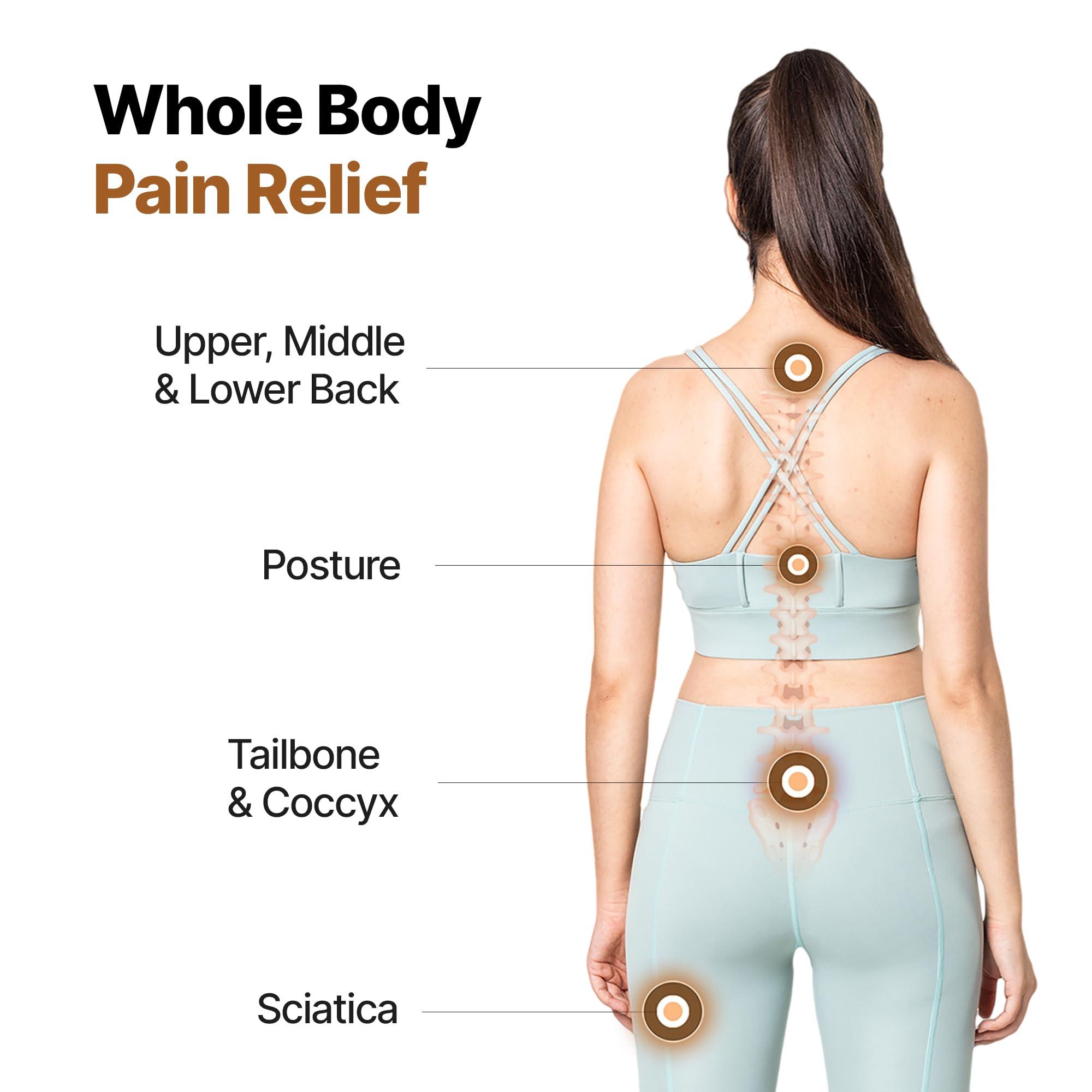 Frido Frido Ultimate Pro Seat Cushion & Posture Corrector Backrest Cushion Combo, Relieves Back, Coccyx Pain, Hi-Per Foam Tech for Orthopedic Support, for Long Sitting Hours on Office/Home Chair, Grey