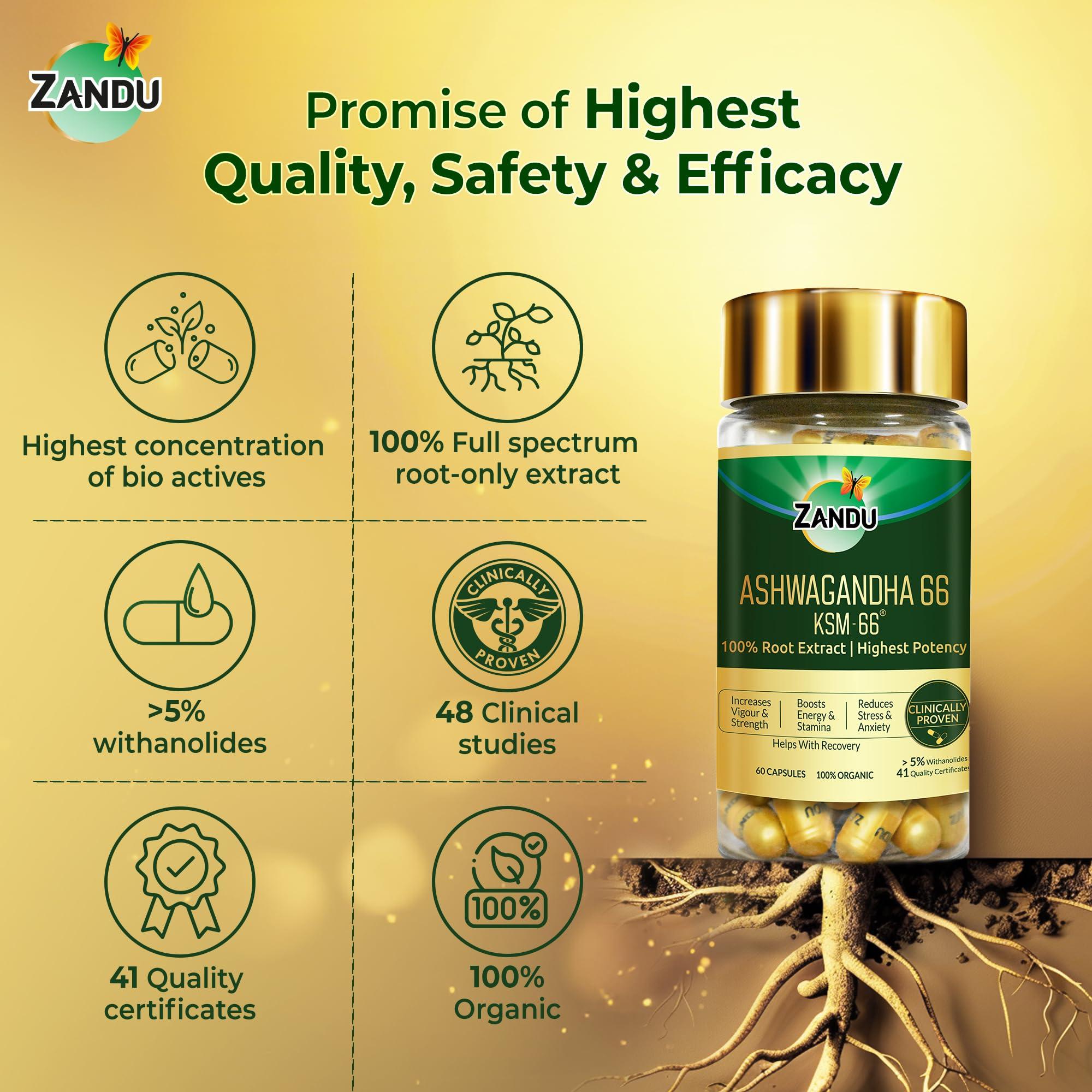 Zandu Zandu Ashwagandha 66 (KSM-66) (600 mg) | Clinically Proven 100% Root Extract for Maximum Potency